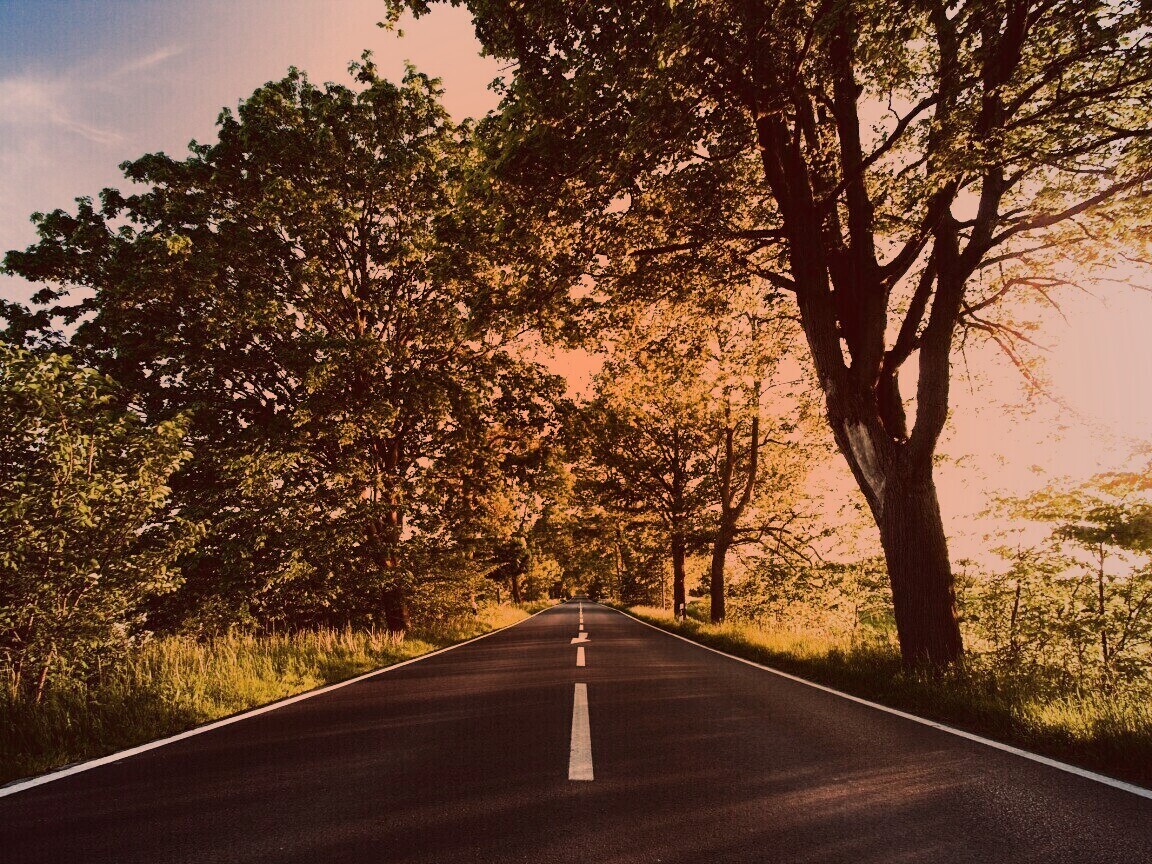Прямая дорога обои