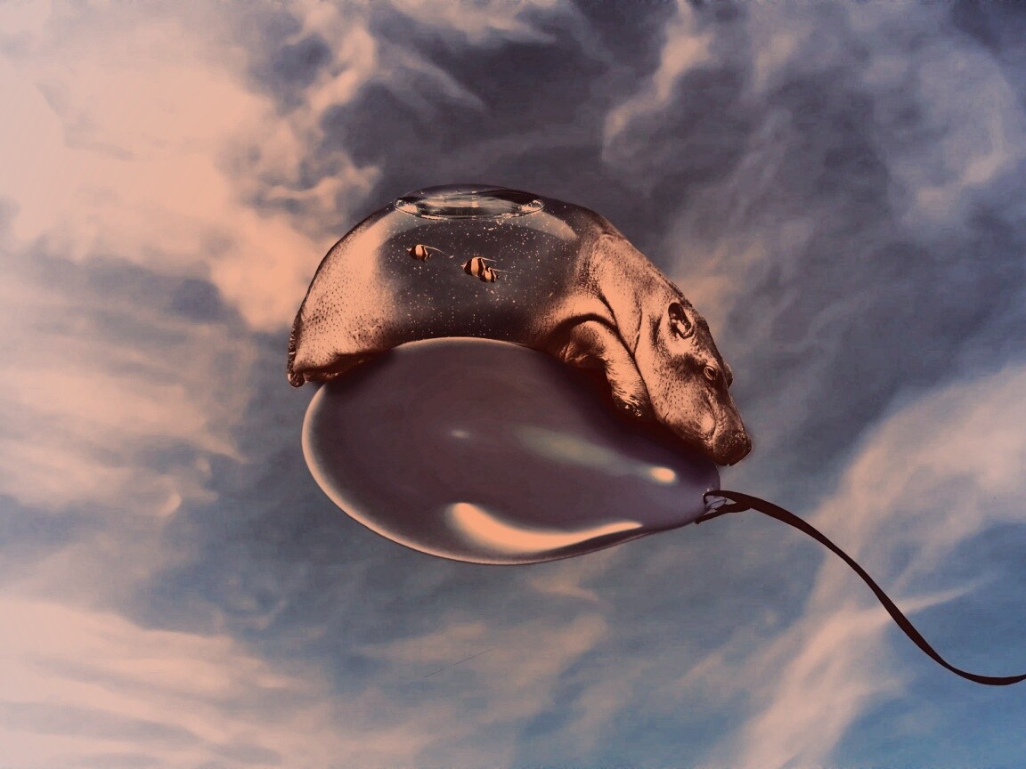 Водяной гиппопотам на шарике обои