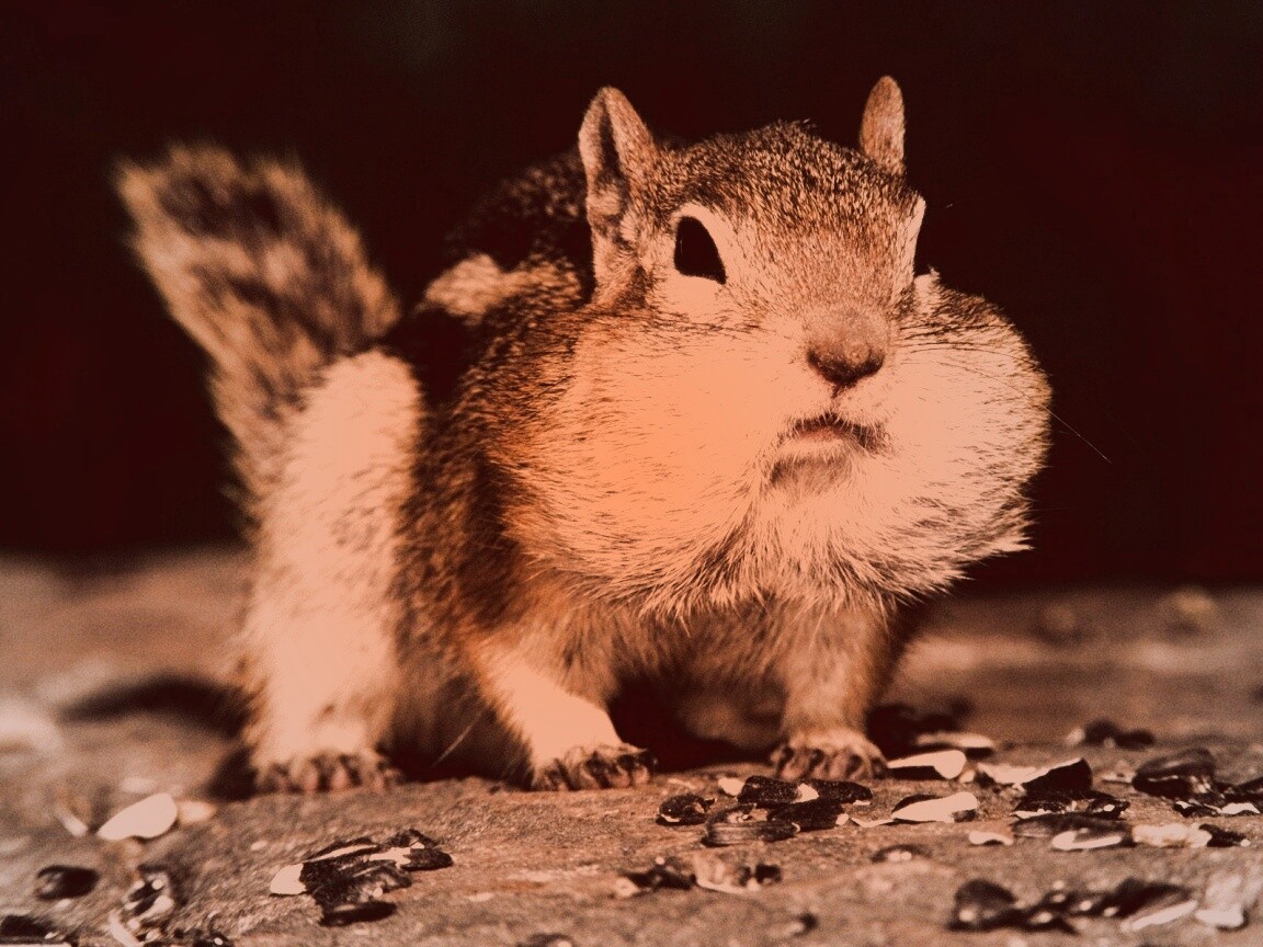 Не жадный, а бережливый обои