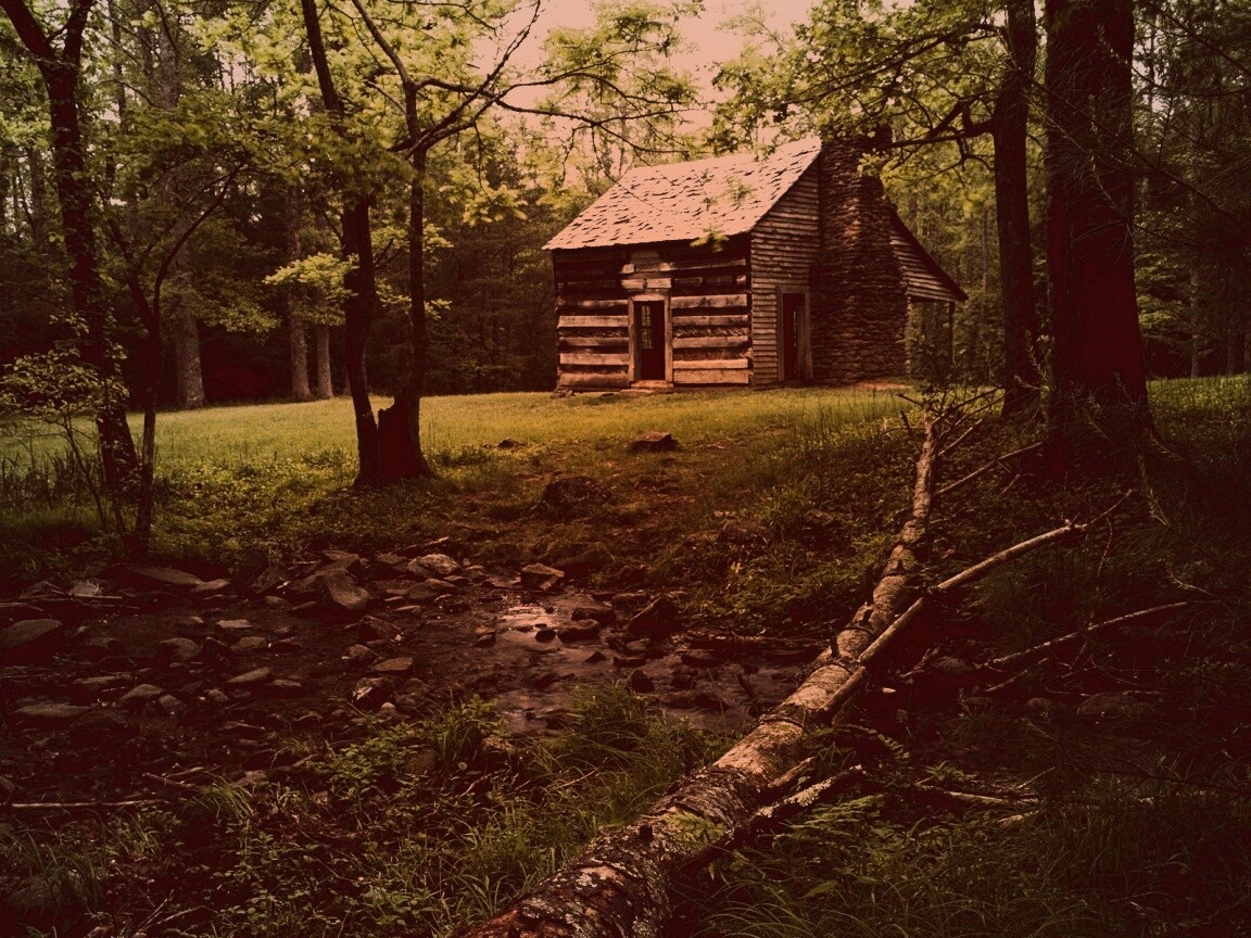 Домик в лесу обои