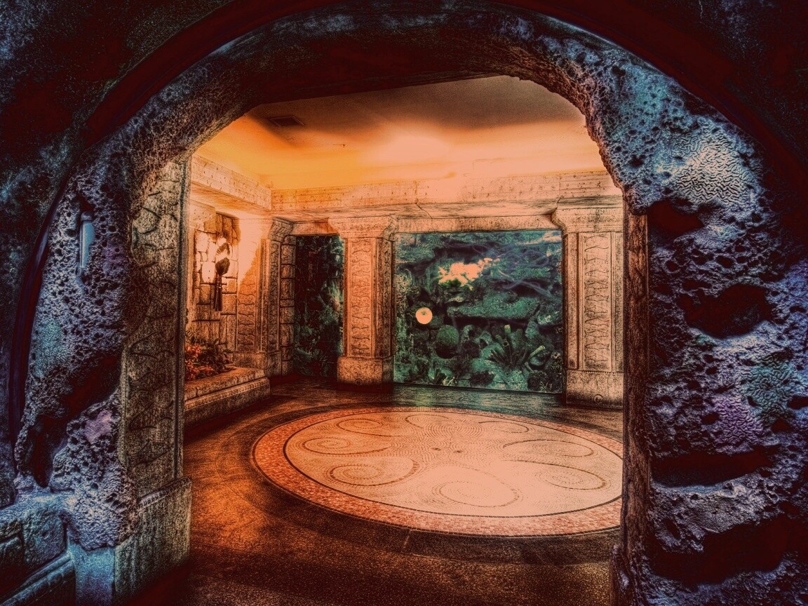 Аквариум обои