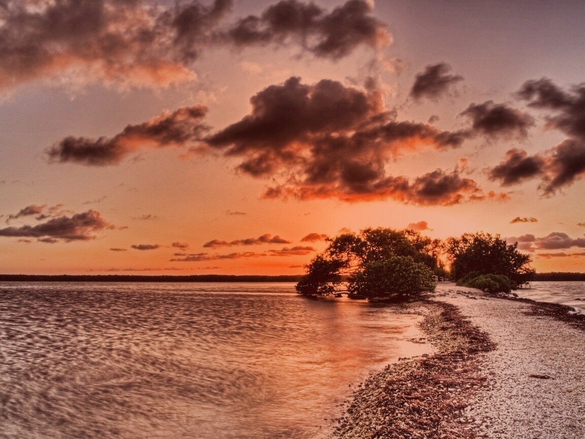 Побережье на закате обои
