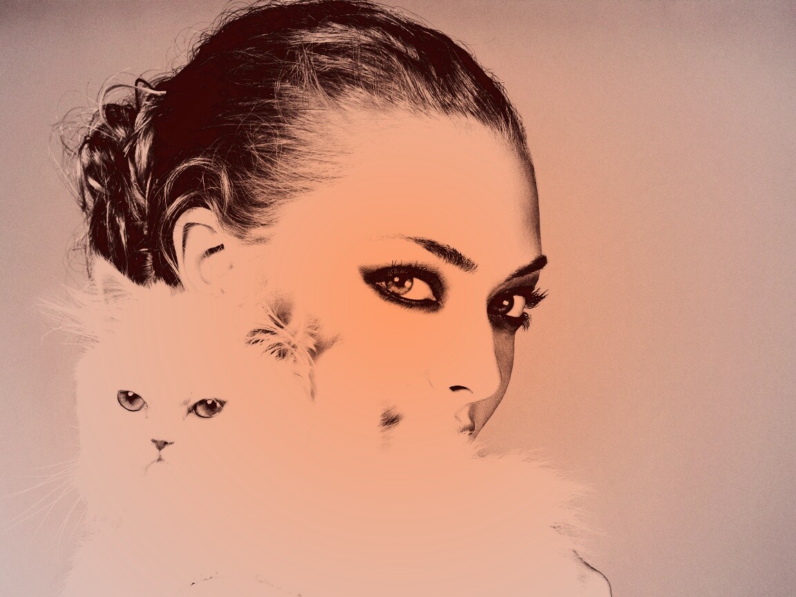 Девушка с кошкой обои