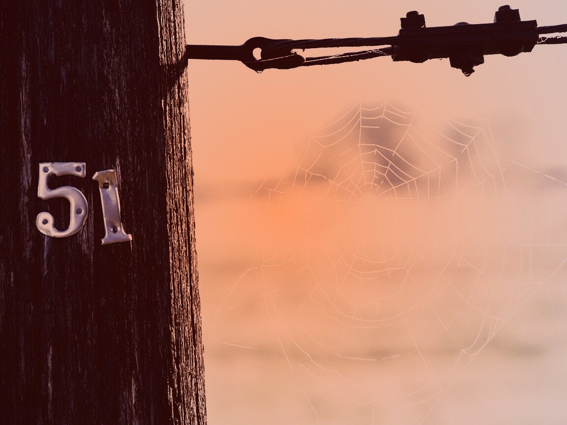 Паутина 51 обои