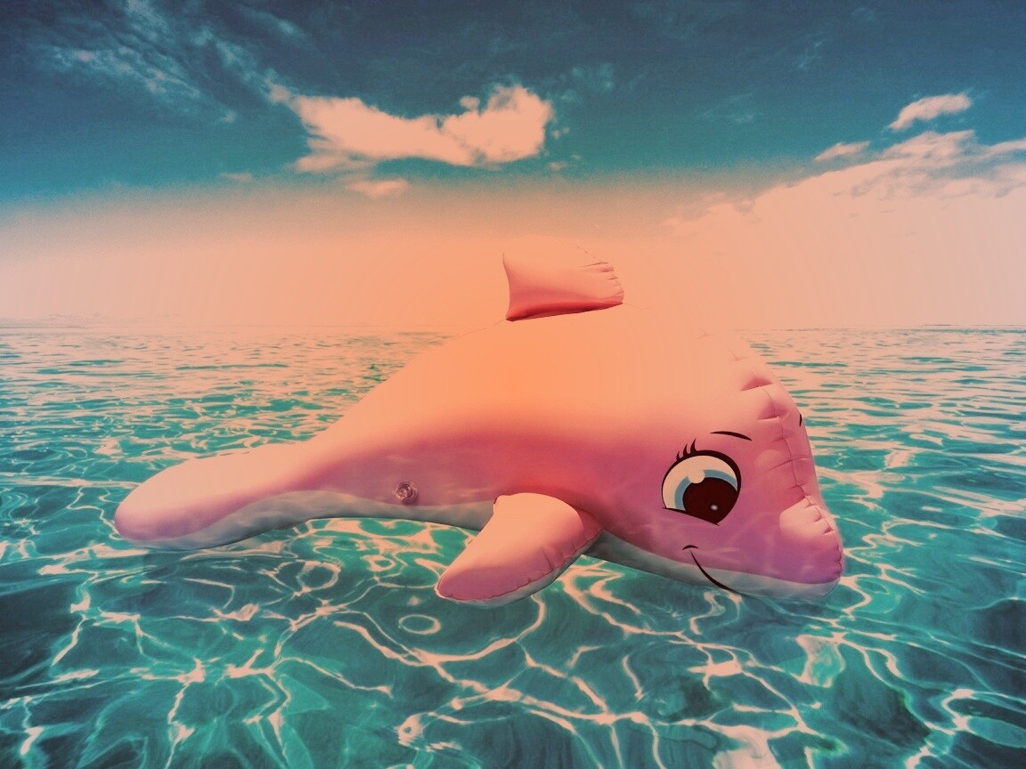 Надувной розовый дельфин обои