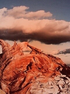 Прелести природы обои