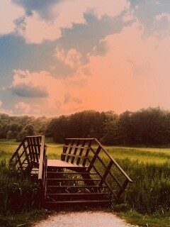 Мостик обои