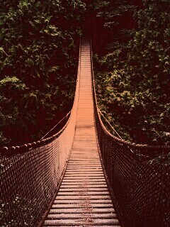 Канатный мостик обои