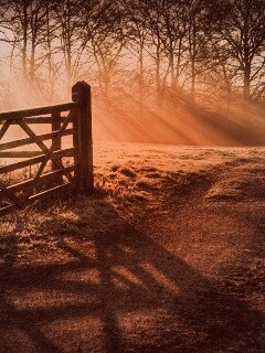 Открытые ворота обои