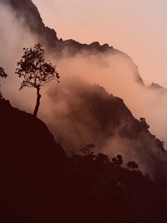 Сумерик в горах обои