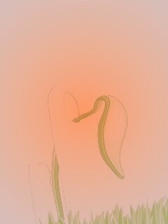 Поддержка для стебелька обои