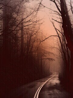 В туман обои