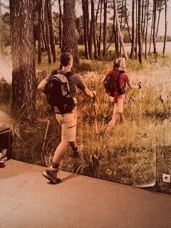 Реклама фотообоев обои