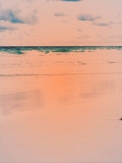 Тропический берег обои