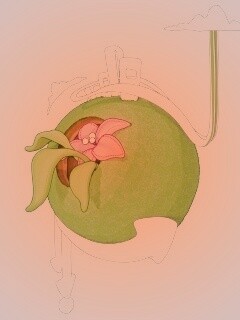 Зелёная планета обои