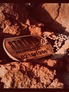 Жетон Сталкер обои