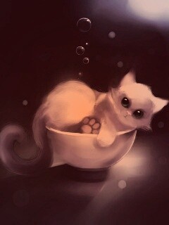 Котёнок в миске обои