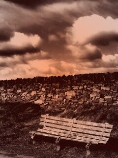 Скамейка у дороги обои