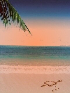 Любовь на океанском берегу обои