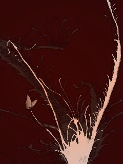 Абстракция из брызг обои