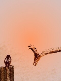 Змея-коряга напдает на птичку обои