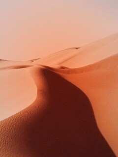 Барханы в пустыне обои