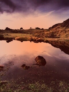 Затопленная долина в Новой Зеландии обои