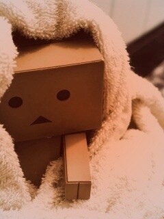 Yotsubato Danbo в полотенце обои