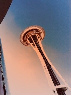 Space Needle Tower обои