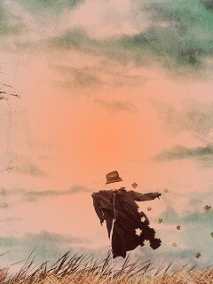 Забытое пугало обои