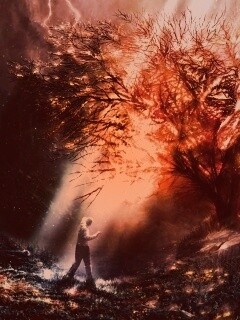 Горящее дерево обои