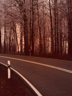 Дорога в осеннем лесу обои