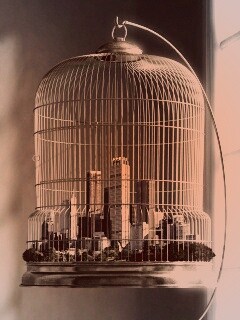 Город в клетке обои