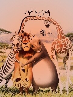 Герои мультфильма Мадагаскар обои