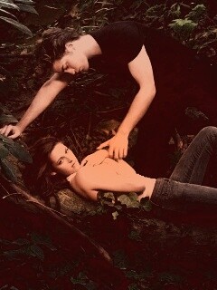 Эдвард и Белла в лесу обои