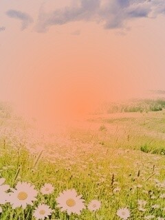 Летний восход обои