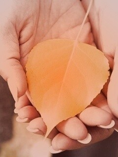 Осенний лист в руках обои