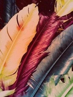 Разноцветные перья обои