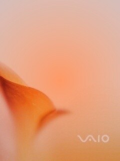 Цветок и логотип Vaio обои