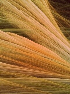 Прозрачные зеленоватые крылья обои