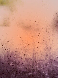 Былинки обои