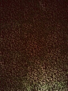 Травяной фон обои