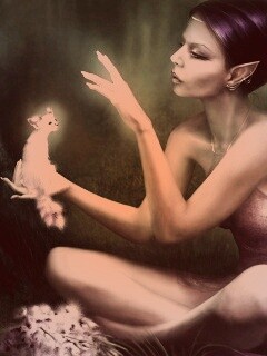 Почет и процветание обои