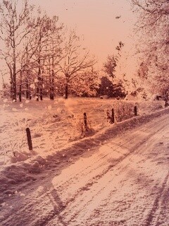 Снежная дорога залитая солнцем обои