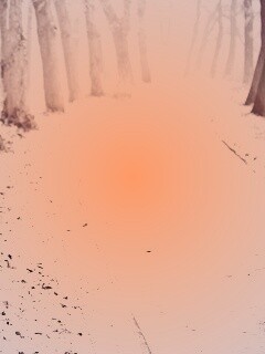 Дорога в зимнем лесу обои