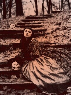 Среди черепов обои