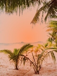 Настоящее лето обои