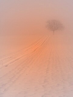 Заснеженное поле обои