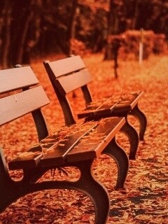 Лавочки в осеннем парке обои