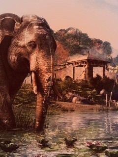 Слоники у воды обои